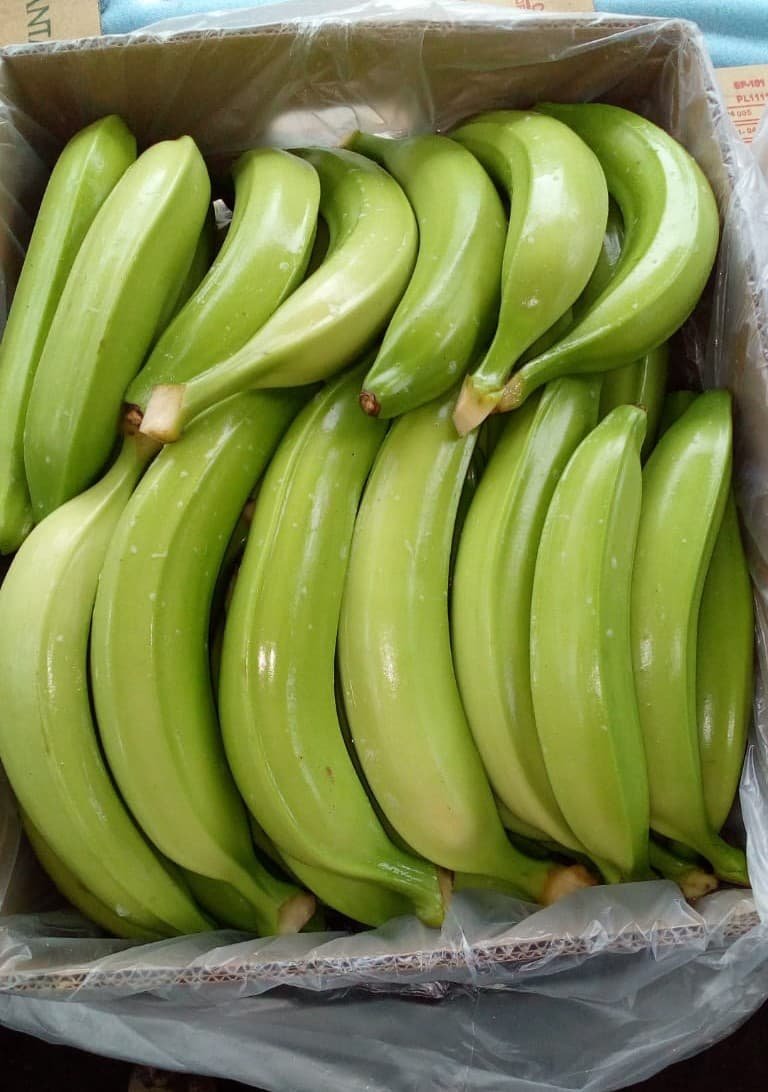 platano verde